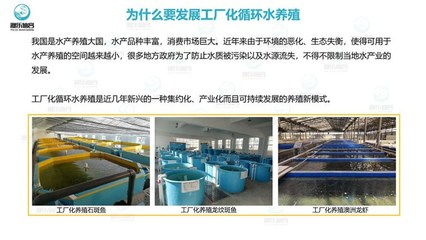 工廠(chǎng)化養(yǎng)魚(yú)
