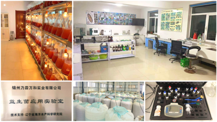 歸國學子的一往情&ldquo;參&rdquo;--記歸國學子郝景航和他養(yǎng)殖海參的創(chuàng)業(yè)故事