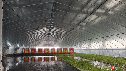 &ldquo;魚兒上樓、南魚北養(yǎng)&rdquo;成為現(xiàn)實--湖北聚源之漁生物工程技術引進農(nóng)業(yè)工業(yè)化生產(chǎn)模式