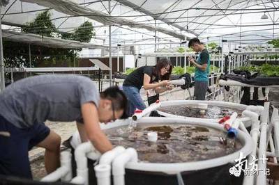 粵港澳大灣區(qū)提供新機(jī)遇:香港青年到江門&ldquo;當(dāng)農(nóng)民&rdquo;獲千萬港元投資