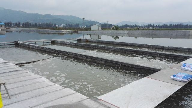 關(guān)注 | 還記得讓天敵共存的&ldquo;共享池塘&rdquo;嗎?這項(xiàng)養(yǎng)殖&ldquo;黑科技&rdquo;入選省重點(diǎn)研發(fā)計(jì)劃項(xiàng)目啦!