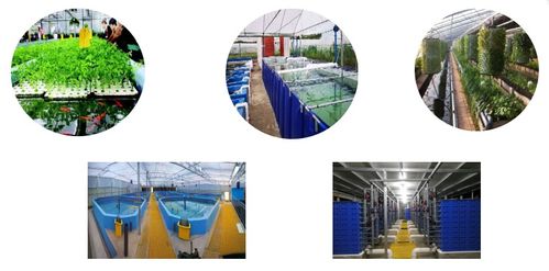 水產(chǎn)養(yǎng)殖博覽會(huì)新亮點(diǎn)呈現(xiàn)