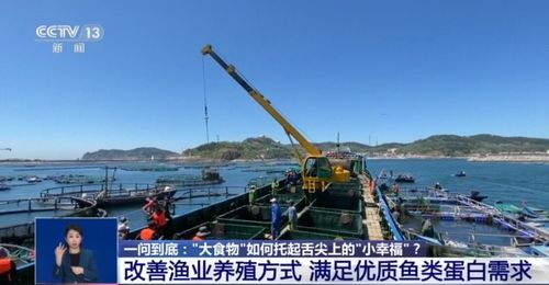 大食物 如何托起舌尖上 小幸福 水產(chǎn)養(yǎng)殖產(chǎn)業(yè)這樣發(fā)展