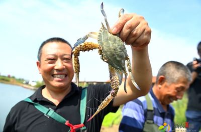 又到一年吃蟹季!2021中國農(nóng)民豐收節(jié)暨第二屆島耳河螃蟹節(jié)開幕