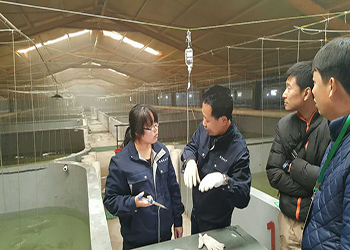 告別&ldquo;嗑藥&rdquo;魚!我國首個海水魚活疫苗投產應用_新聞_央視網(cctv.com)