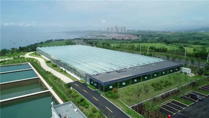 威海藍碳時間④ | 先行先試走在前列 藍色探索不棄寸陰