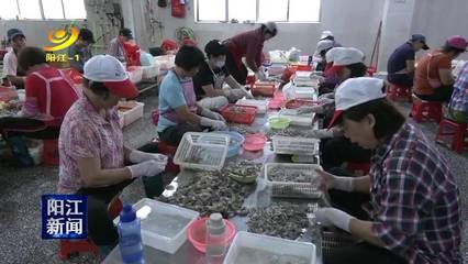 梁崇添:平岡水產養殖的技術先鋒