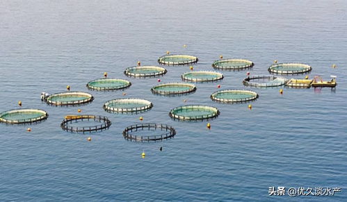 智慧水產養殖,開啟養殖模式新時代