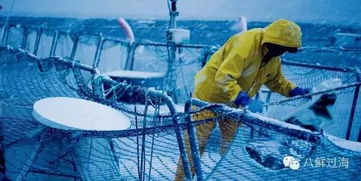 先進水產養殖技術及設備之網箱水產養殖