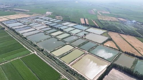 南鱗北育添新族 豐盈魚(yú)市增收益