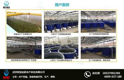 工廠化養(yǎng)魚(yú)技術(shù) 工廠化養(yǎng)魚(yú) 智慧農(nóng)研(推薦商家)
